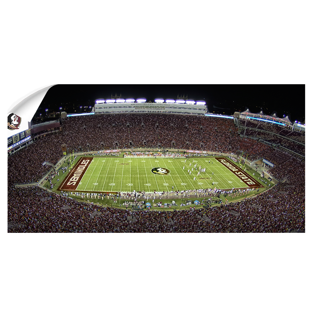 Florida State Seminoles - Doak Pano - College Wall Art #Canvas