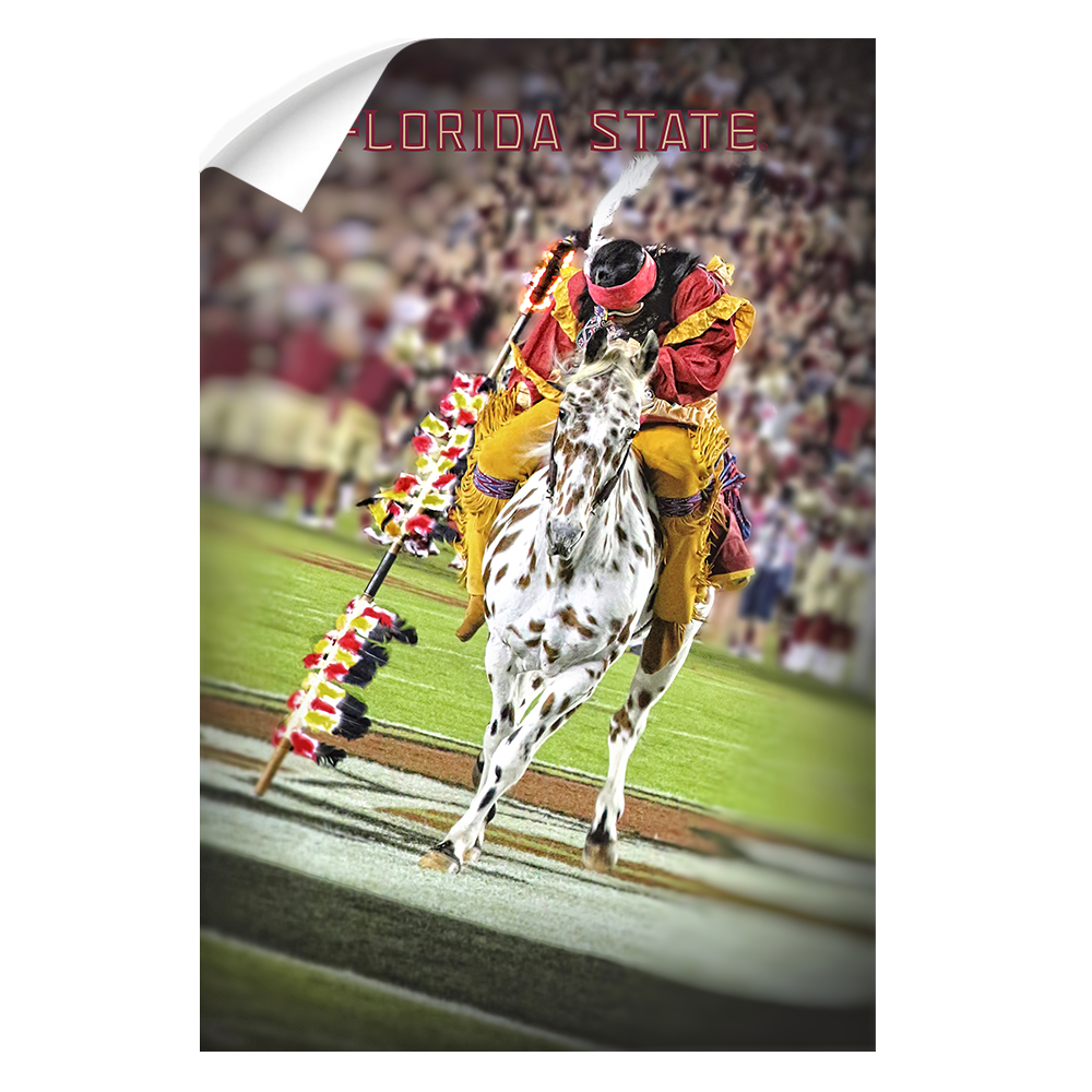 Florida State Seminoles - Florida State Osceola Spear - College Wall Art #Canvas