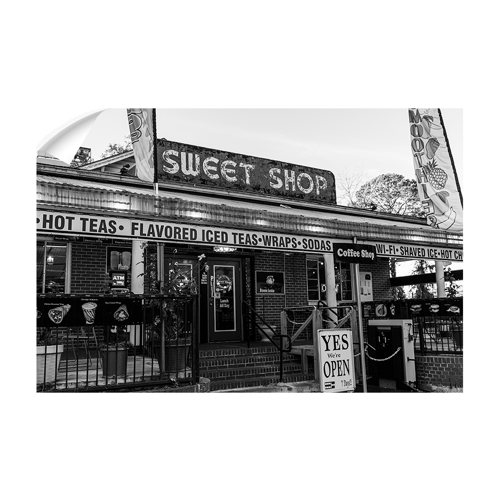 Florida State Seminoles - An FSU Staple - College Wall Art #Canvas