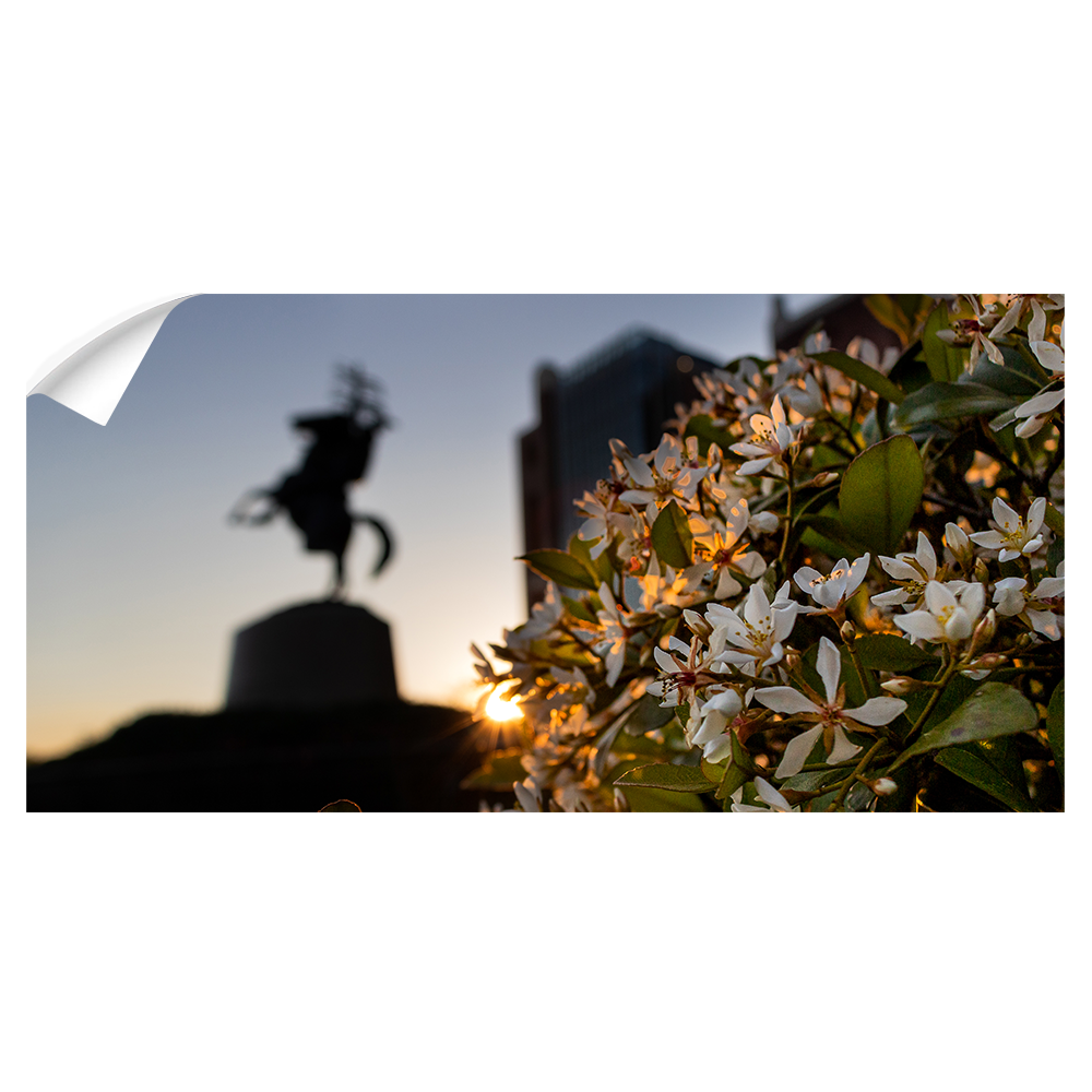 Florida State Seminoles - Unconquered Sunset Pano - College Wall Art #Canvas