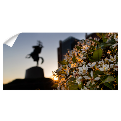 Florida State Seminoles - Unconquered Sunset Pano - College Wall Art #Wall Decal