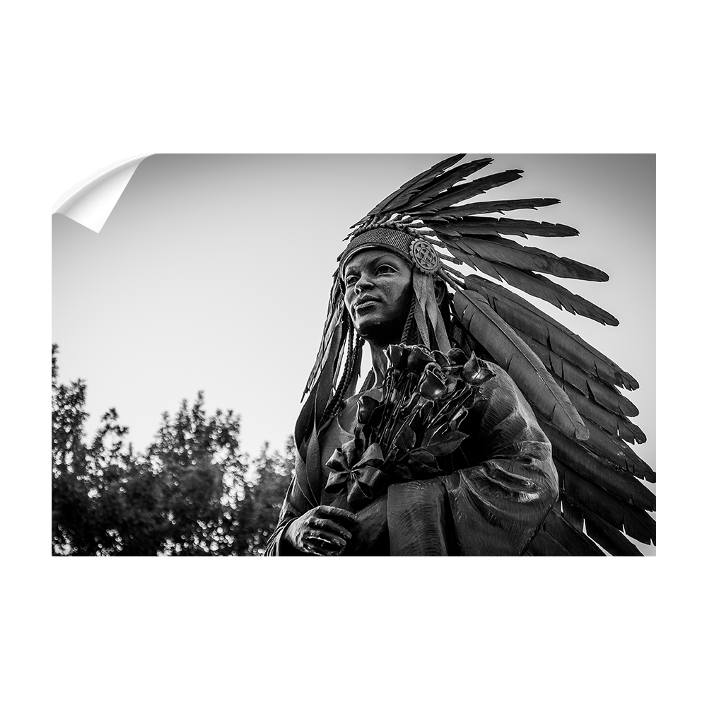Florida State Seminoles - Integration Statue Seminole - College Wall Art #Canvas