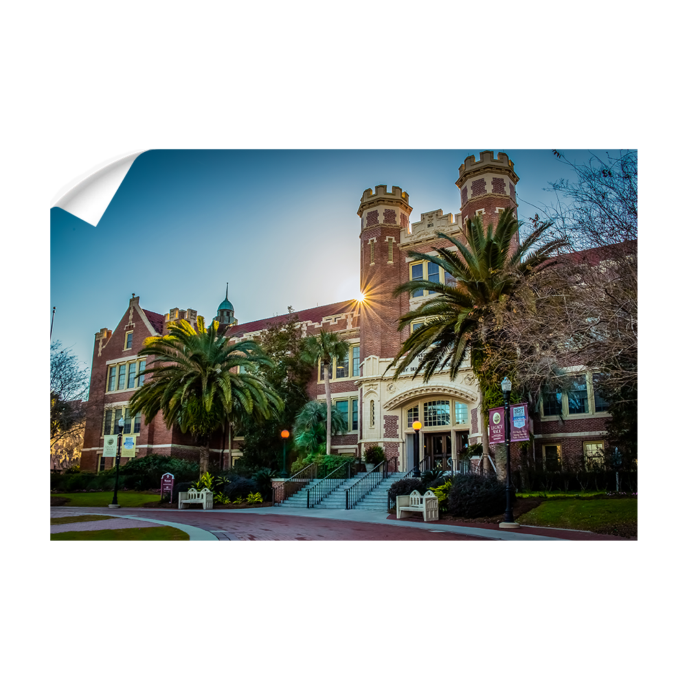 Florida State Seminoles - Westcott Starburst -College Wall Art #Canvas