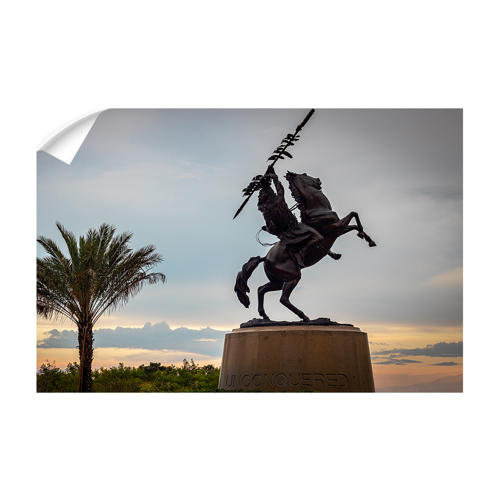 Florida State Seminoles - Unconquered Sunset Skies - College Wall Art #Canvas