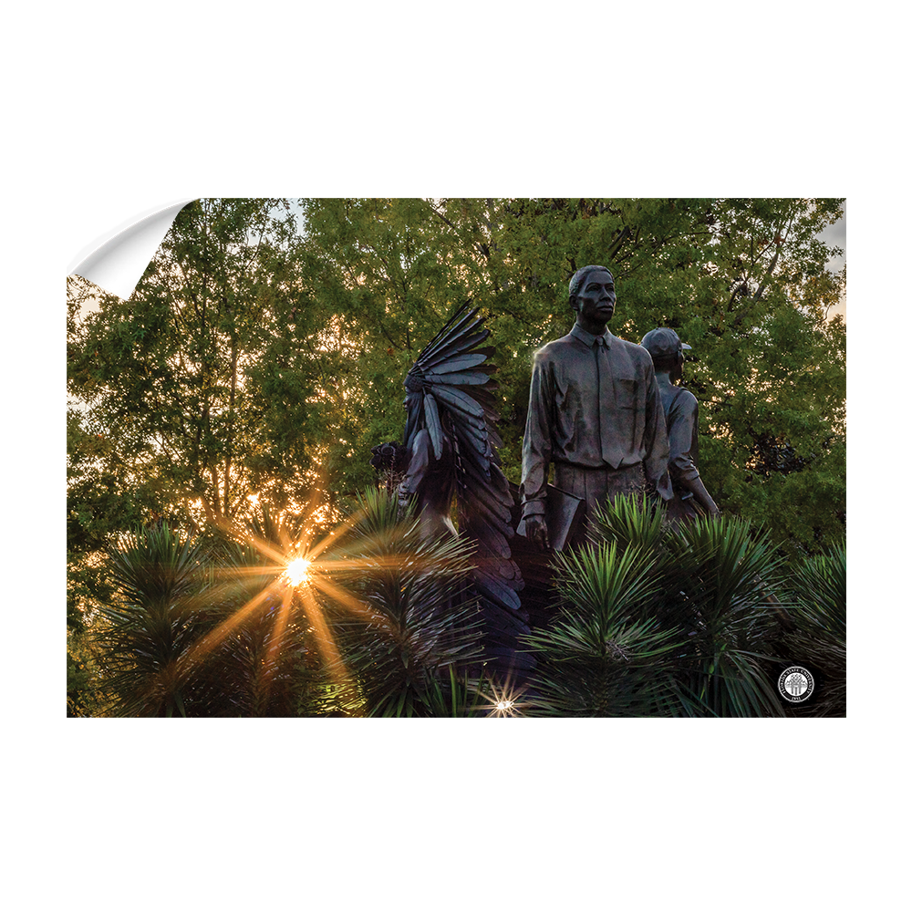Florida State Seminoles - Integration Sunstar - College Wall Art #Canvas