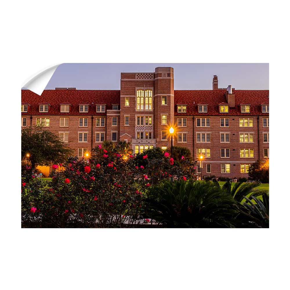 Florida State Seminoles - Landis Last Light -  College Wall Art #Canvas