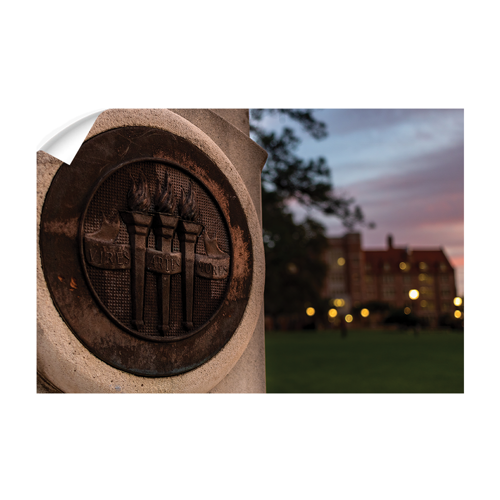 Florida State Seminoles - Landis Torches - College Wall Art #Canvas