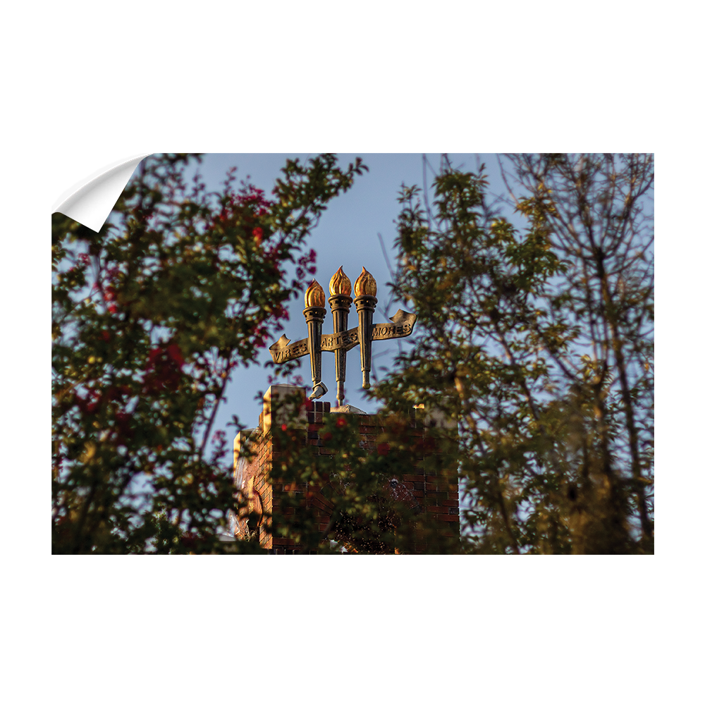 Florida State Seminoles - Framed Torches Close-up - College Wall Art #Canvas