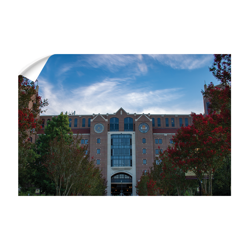 Florida State Seminoles - Pathway to Traditions - College Wall Art #Canvas