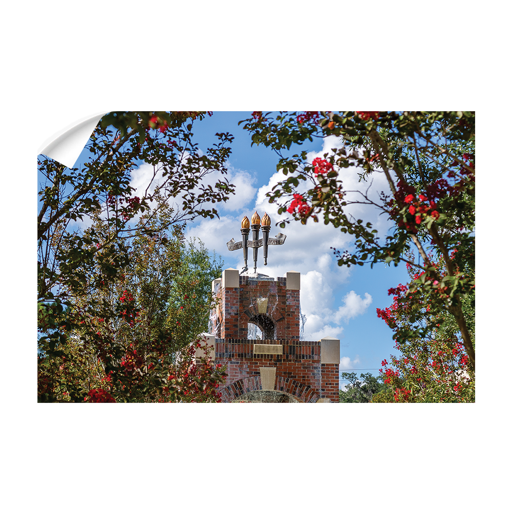 Florida State Seminoles - Red Bloom Framed Torches - College Wall Art #Canvas