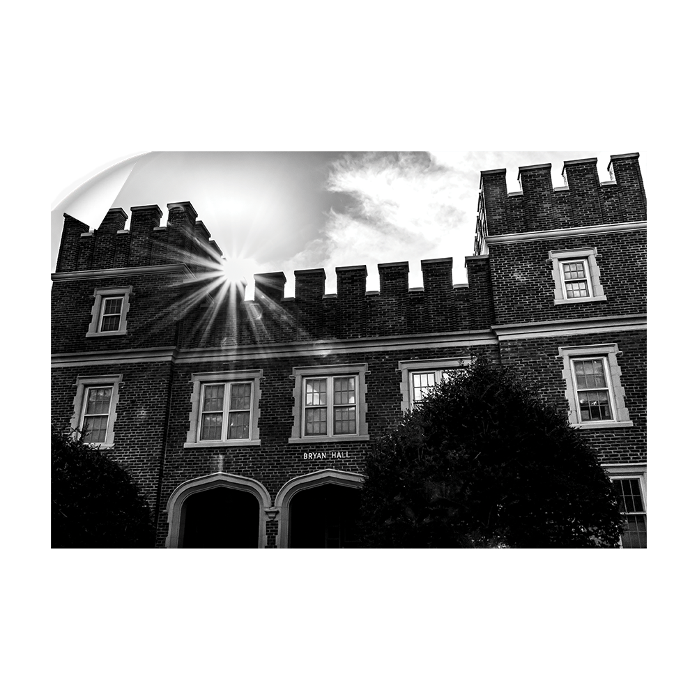 Florida State Seminoles - Bryan Hall - College Wall Art #Canvas