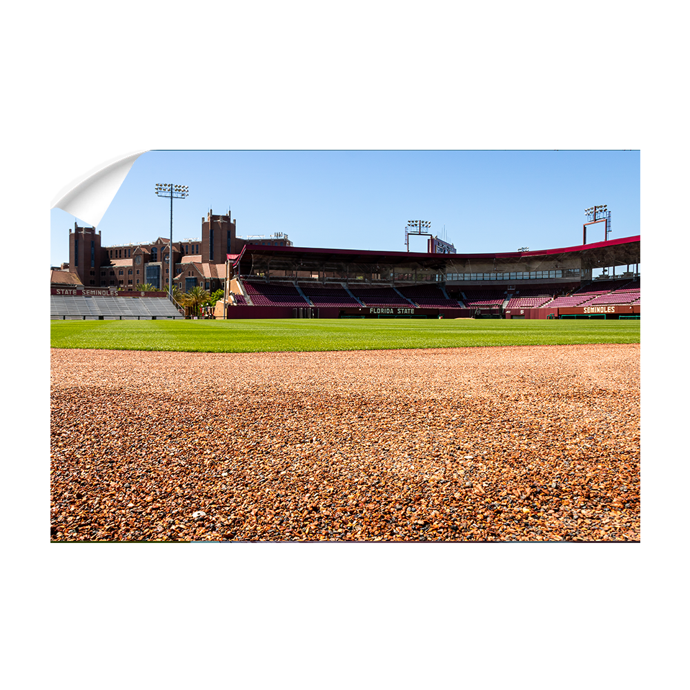 Florida State Seminoles - Spring and Fall - College Wall Art #Canvas