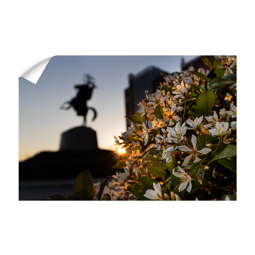 Florida State Seminoles - Unconquered Sunset - College Wall Art #Canvas