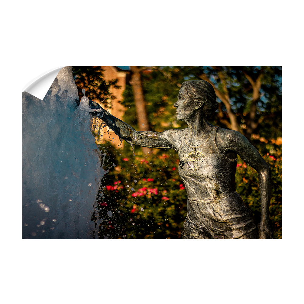 Florida State Seminoles - Legacy Fountain Splash - College Wall Art #Canvas