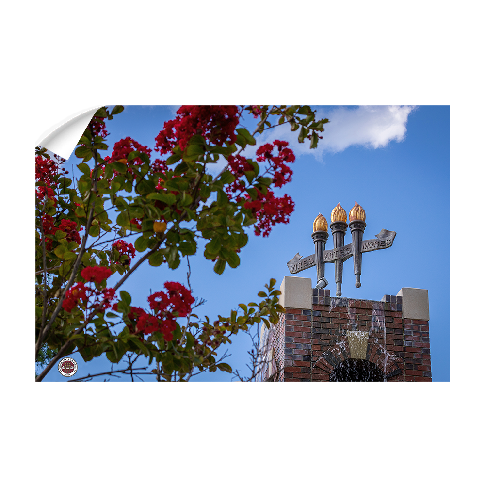Florida State Seminoles - Red Bloom Torches - College Wall Art #Canvas