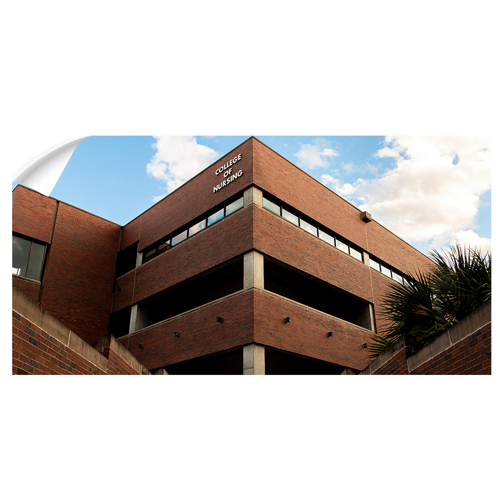 Florida State Seminoles - College of Nursing Pano - College Wall Art #Canvas