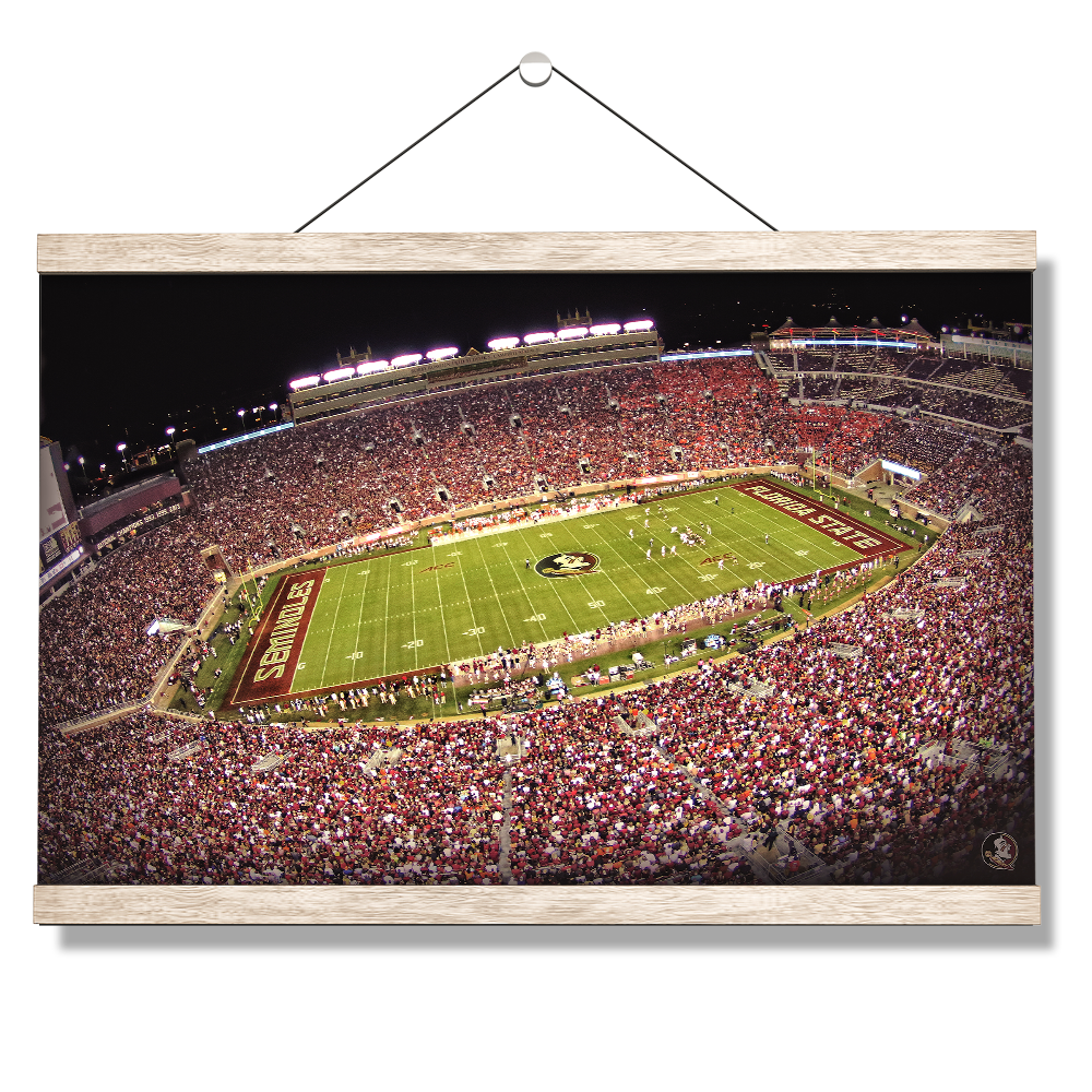 Florida State Seminoles - Doak - College Wall Art #Canvas