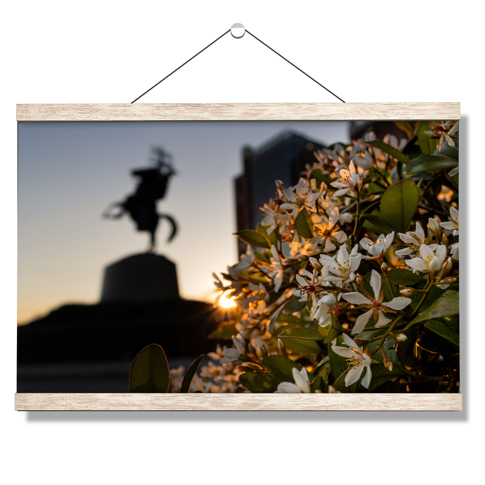 Florida State Seminoles - Unconquered Sunset - College Wall Art #Canvas