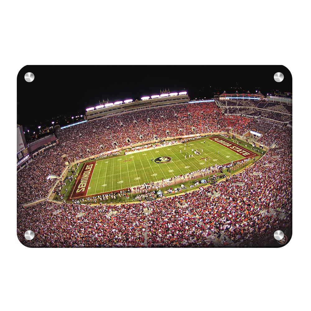 Florida State Seminoles - Doak - College Wall Art #Canvas
