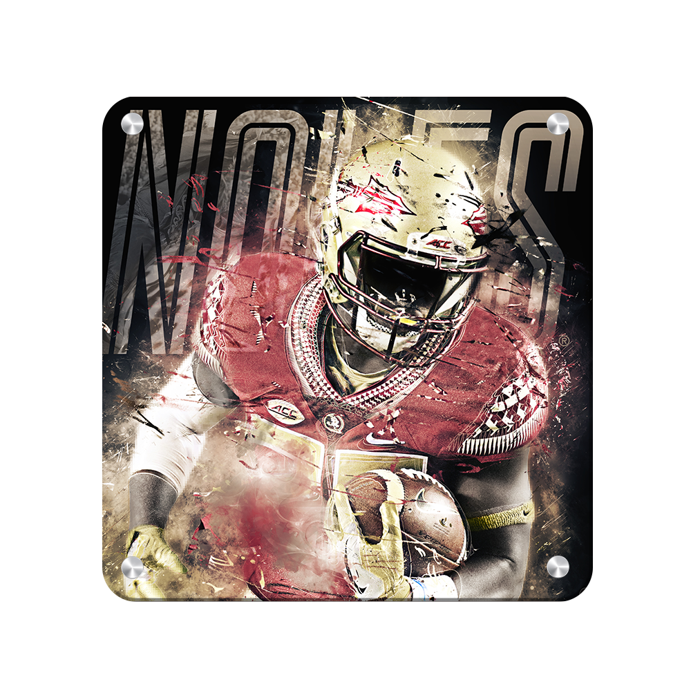 Florida State Seminoles - Noles - College Wall Art #Canvas