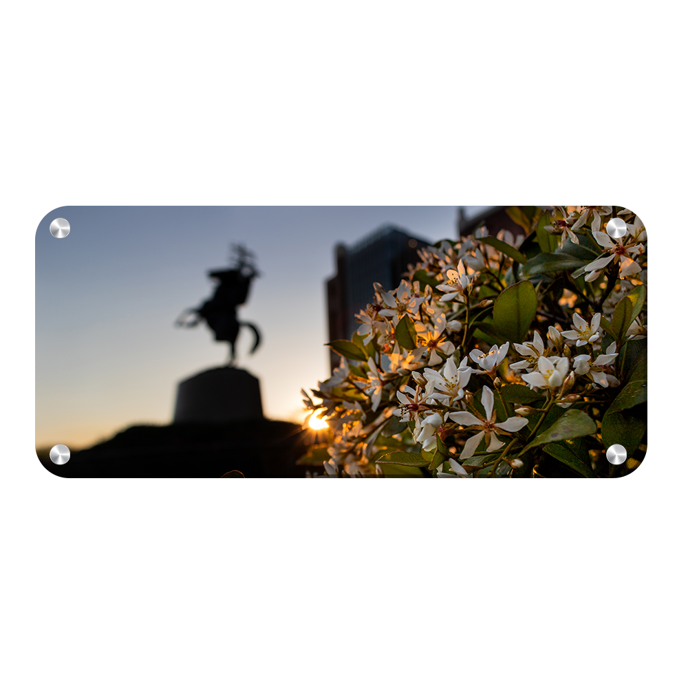 Florida State Seminoles - Unconquered Sunset Pano - College Wall Art #Canvas