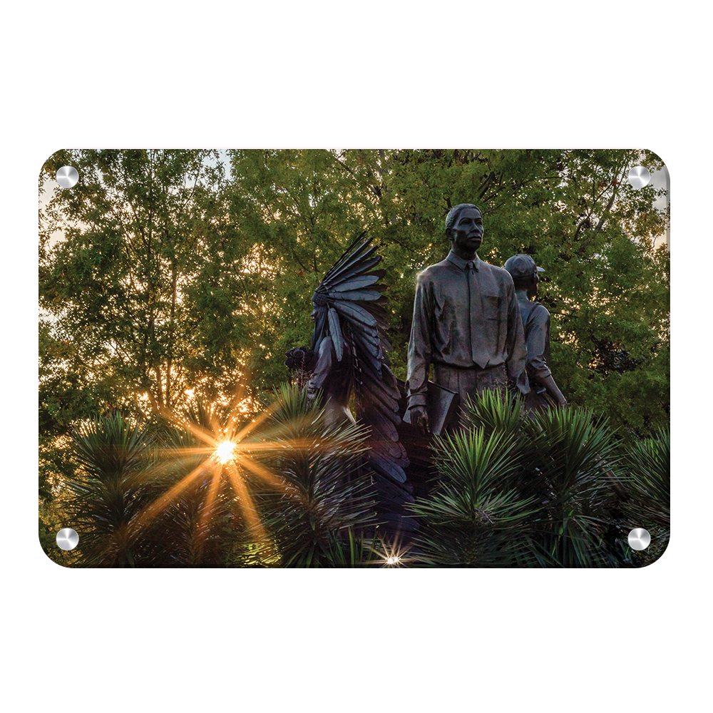 Florida State Seminoles - Integration Sunstar - College Wall Art #Canvas