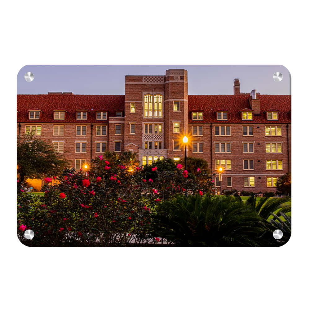 Florida State Seminoles - Landis Last Light -  College Wall Art #Canvas