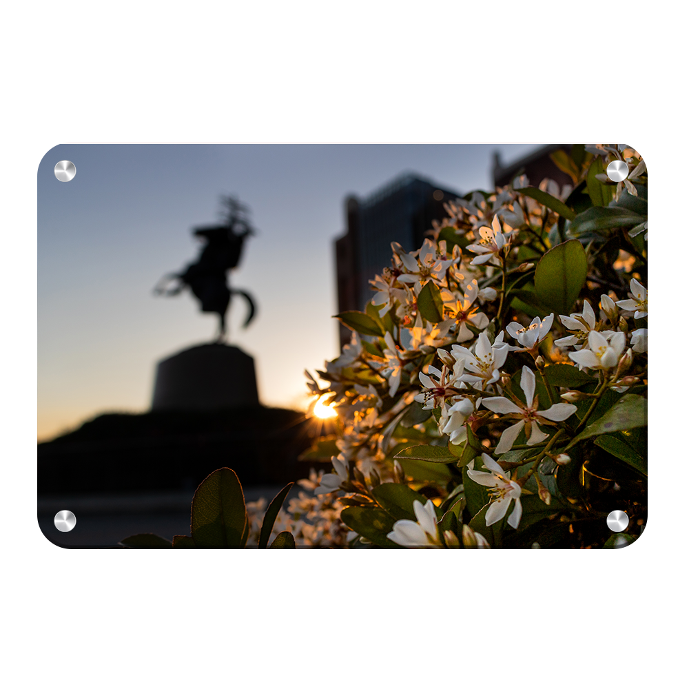Florida State Seminoles - Unconquered Sunset - College Wall Art #Canvas