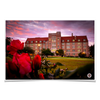 Florida State Seminoles - Red Sunrise Over Landis - College Wall Art #Poster