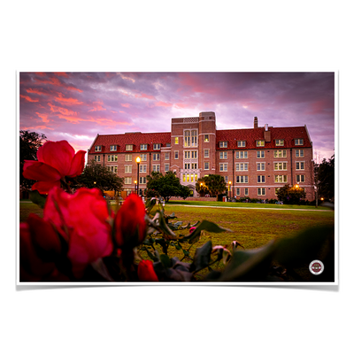 Florida State Seminoles - Red Sunrise Over Landis - College Wall Art #Poster