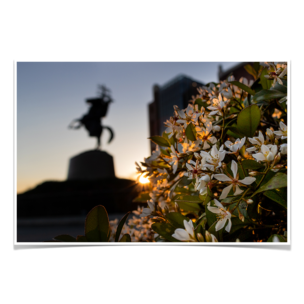 Florida State Seminoles - Unconquered Sunset - College Wall Art #Canvas