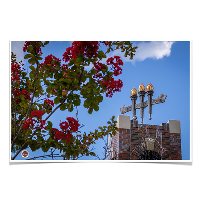 Florida State Seminoles - Red Bloom Torches - College Wall Art #Poster