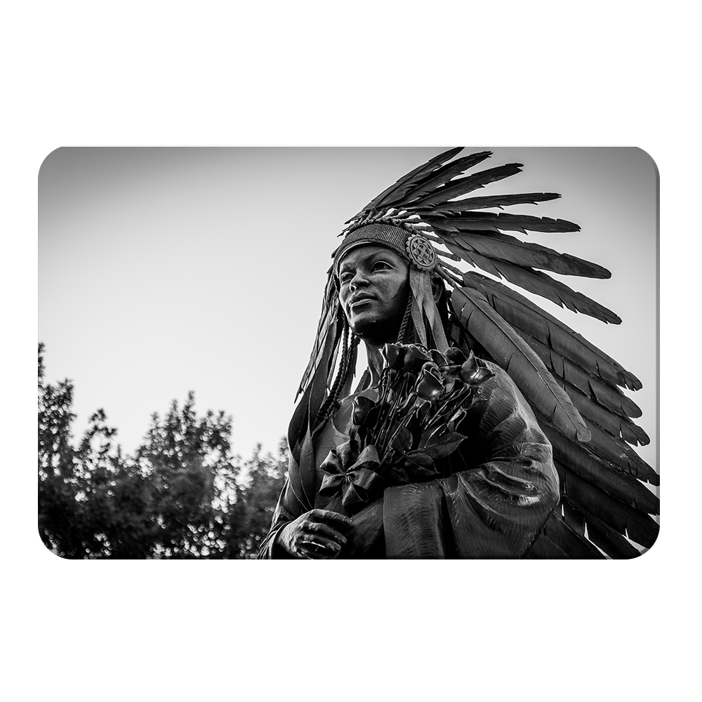 Florida State Seminoles - Integration Statue Seminole - College Wall Art #Canvas