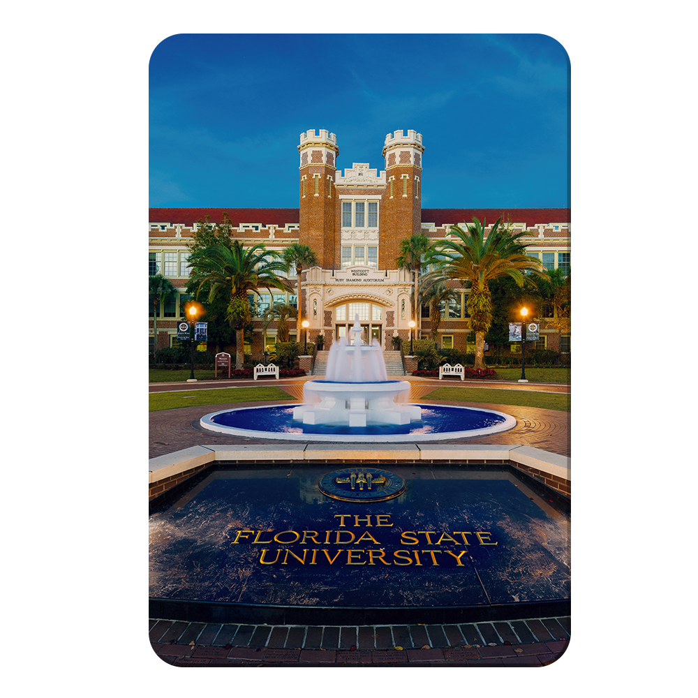 Florida State Seminoles - The Florida State University - College Wall Art #Canvas
