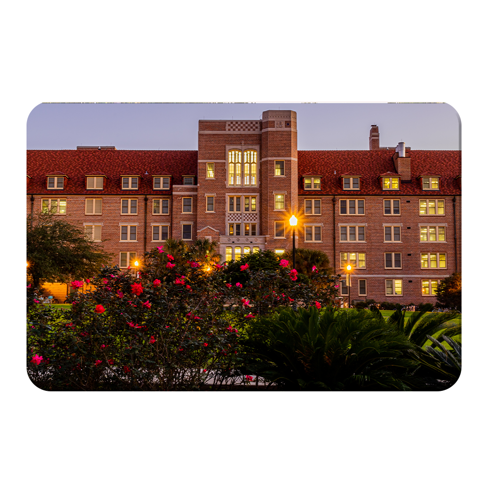Florida State Seminoles - Landis Last Light -  College Wall Art #Canvas