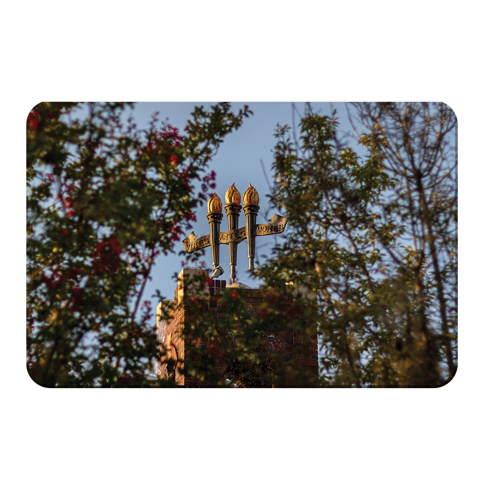 Florida State Seminoles - Framed Torches Close-up - College Wall Art #Canvas