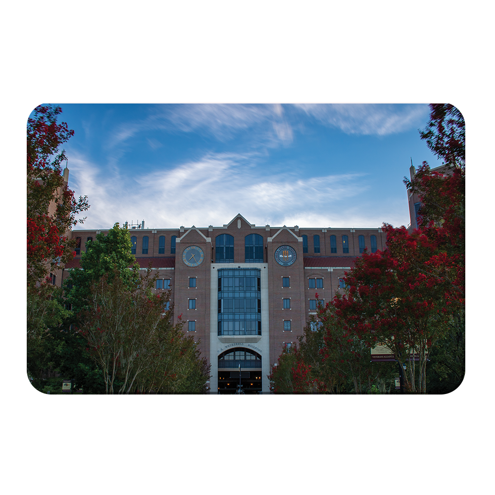 Florida State Seminoles - Pathway to Traditions - College Wall Art #Canvas