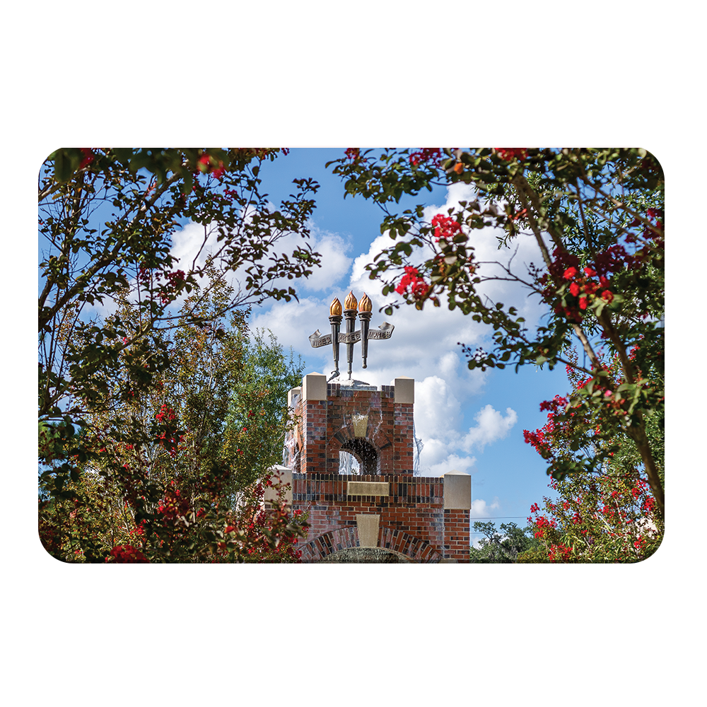 Florida State Seminoles - Red Bloom Framed Torches - College Wall Art #Canvas