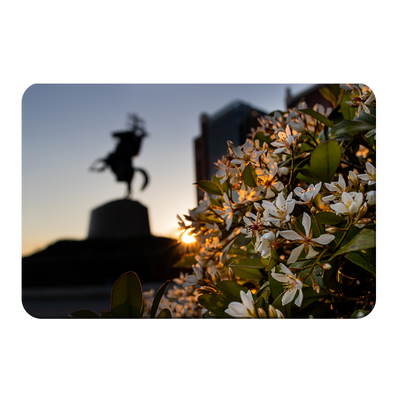 Florida State Seminoles - Unconquered Sunset - College Wall Art #PVC