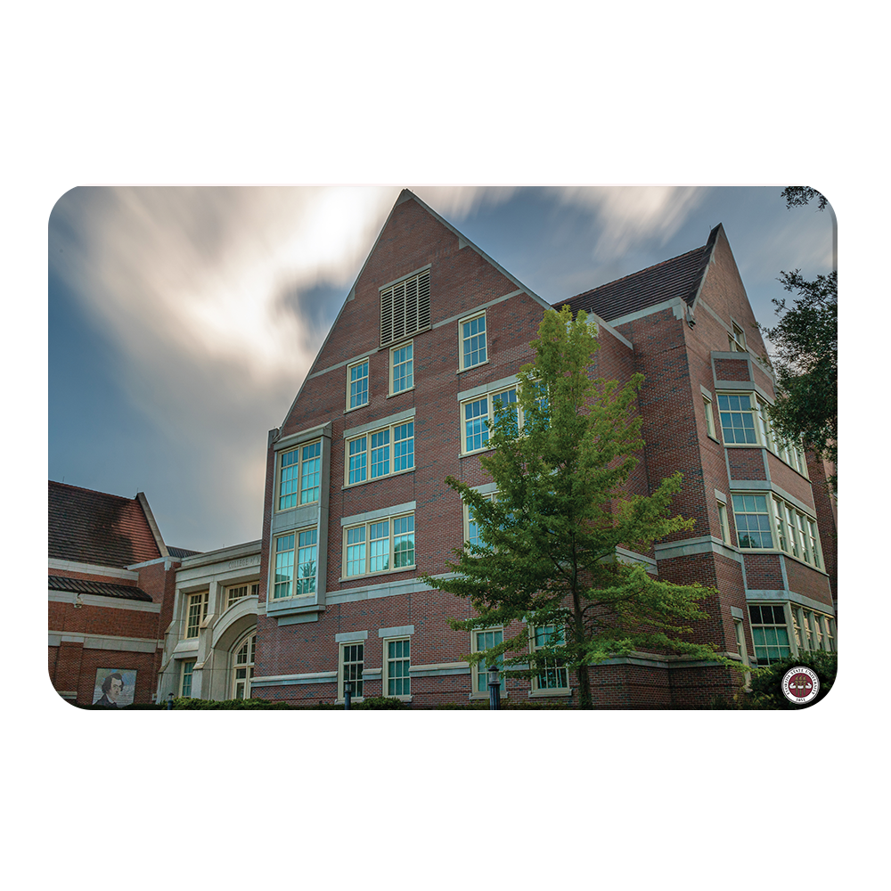 Florida State Seminoles - College of Medicine - College Wall Art #Canvas