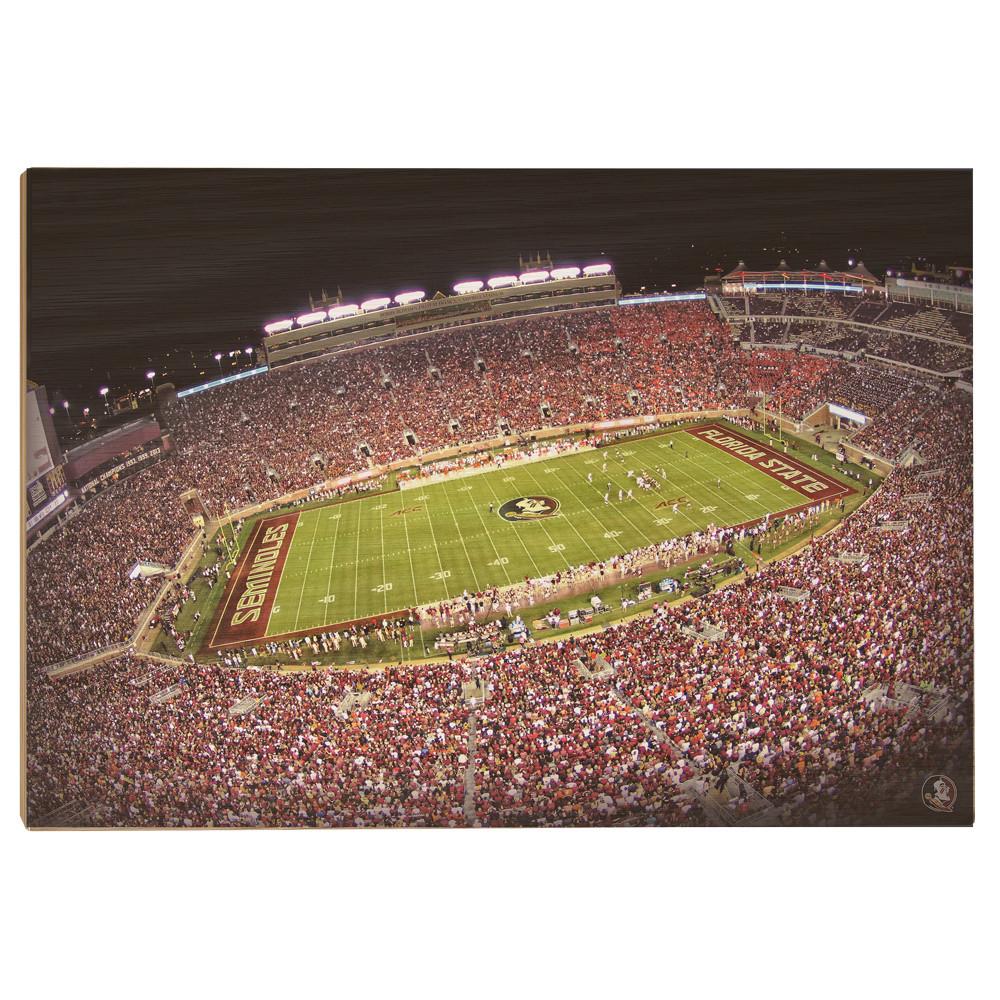 Florida State Seminoles - Doak - College Wall Art #Canvas