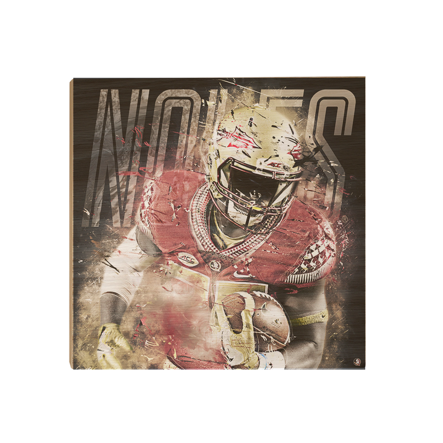 Florida State Seminoles - Noles - College Wall Art #Canvas