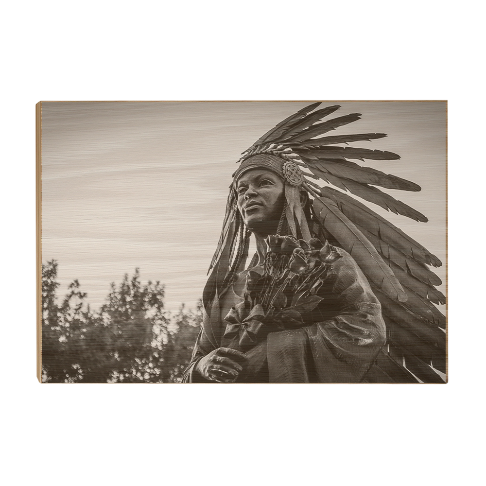 Florida State Seminoles - Integration Statue Seminole - College Wall Art #Canvas