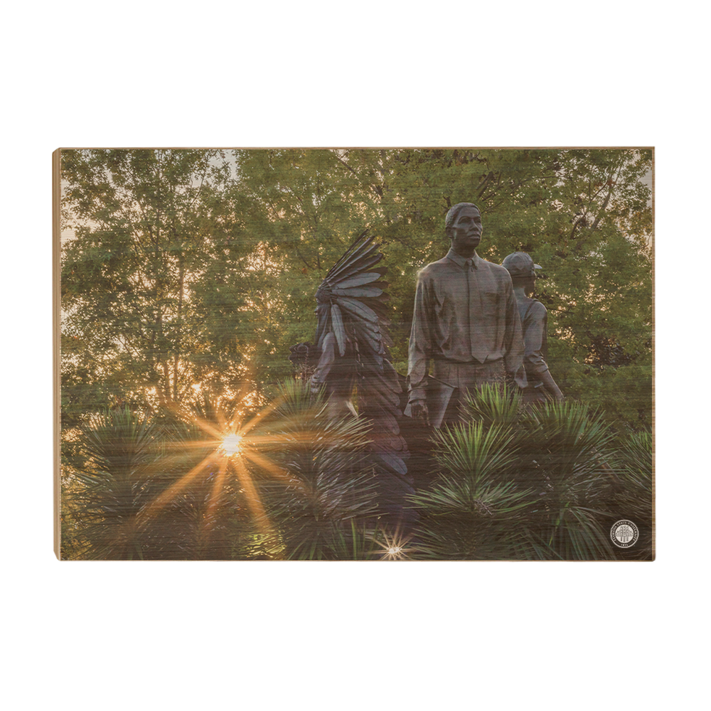 Florida State Seminoles - Integration Sunstar - College Wall Art #Canvas