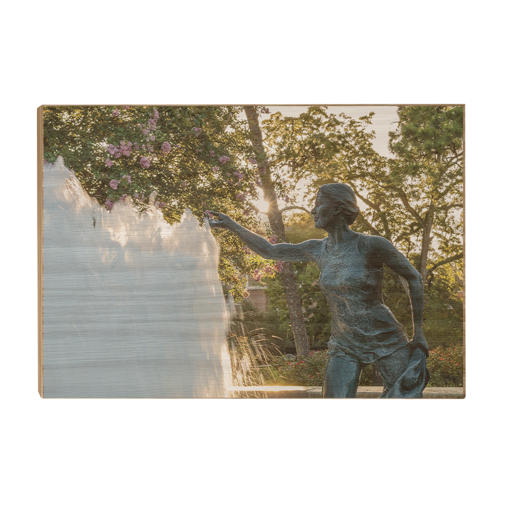 Florida State Seminoles - Landis Fountain Sunrise - College Wall Art #Canvas