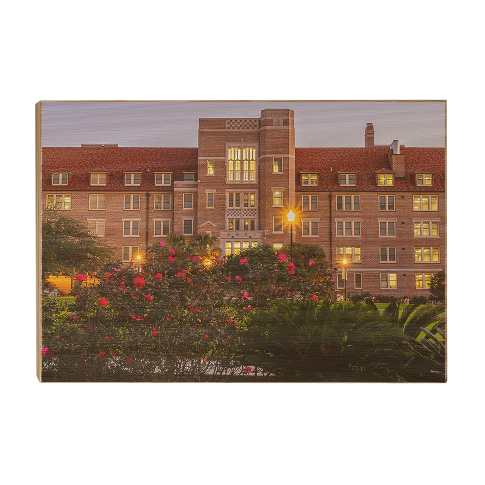 Florida State Seminoles - Landis Last Light -  College Wall Art #Canvas