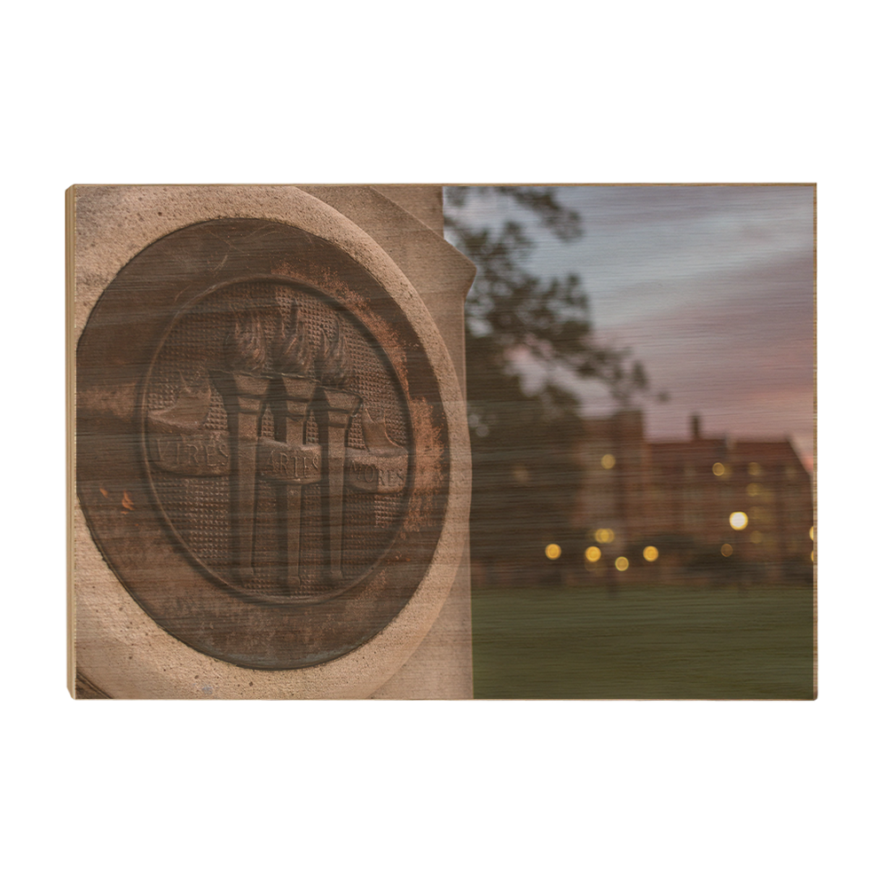 Florida State Seminoles - Landis Torches - College Wall Art #Canvas