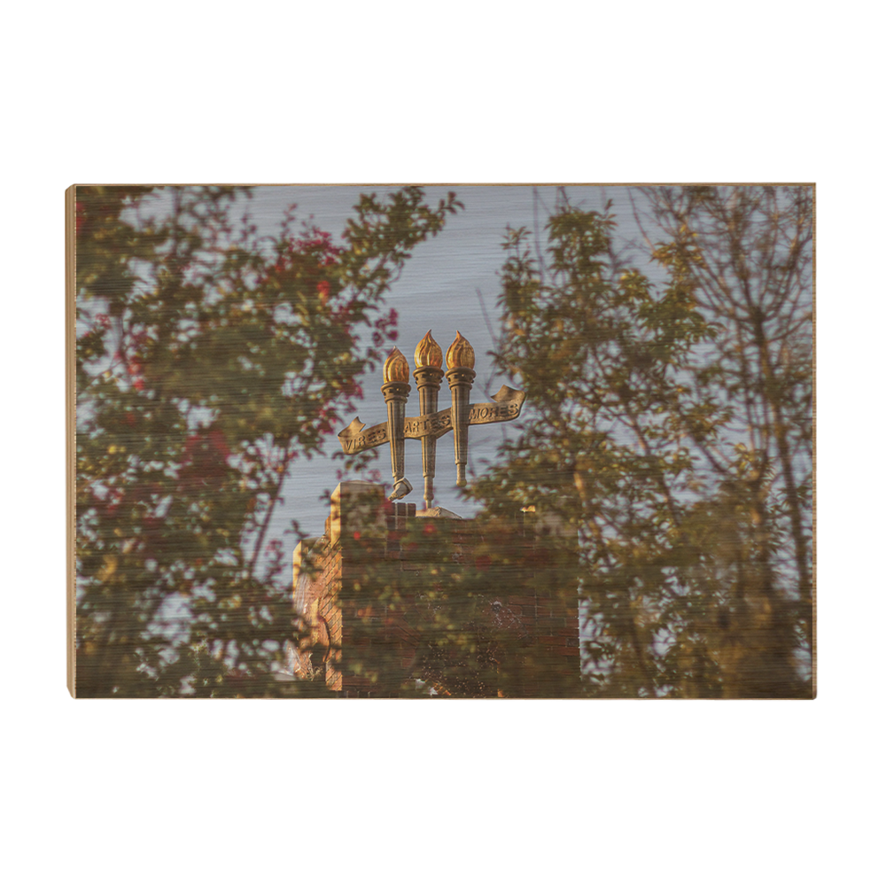 Florida State Seminoles - Framed Torches Close-up - College Wall Art #Canvas