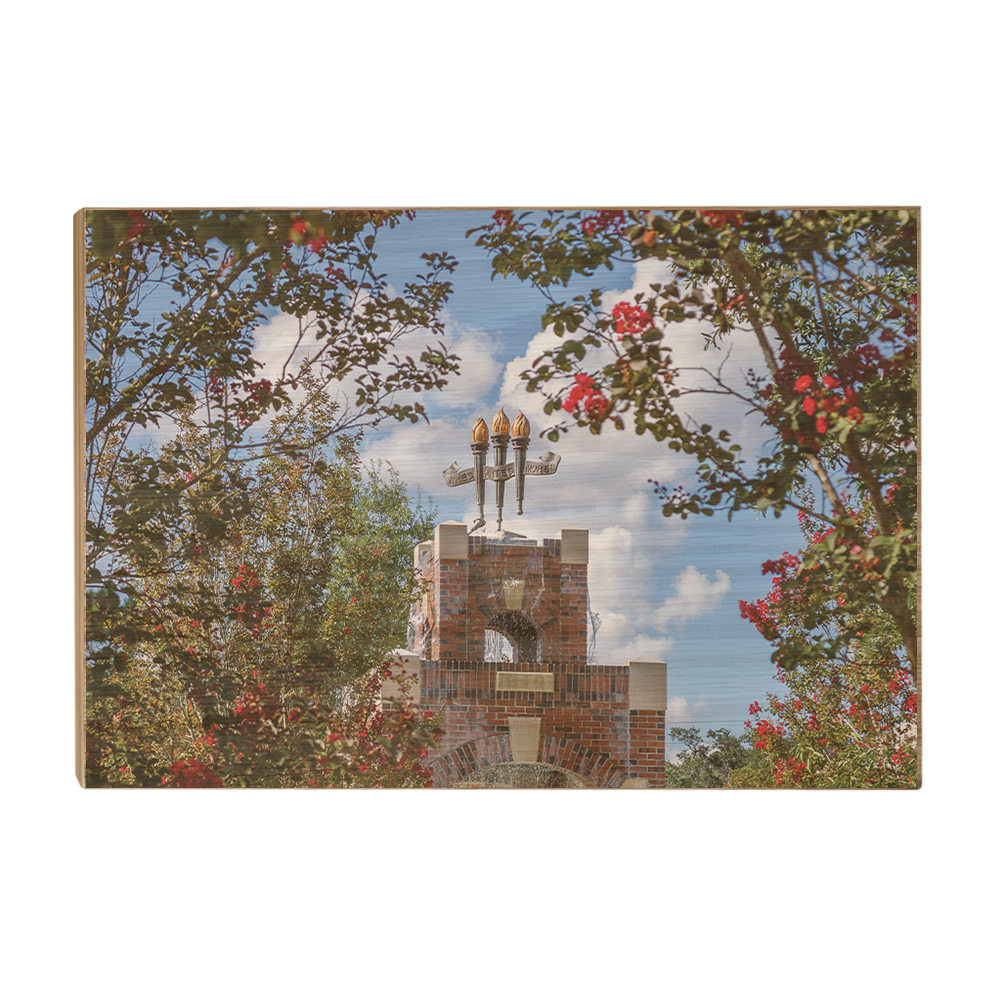 Florida State Seminoles - Red Bloom Framed Torches - College Wall Art #Canvas