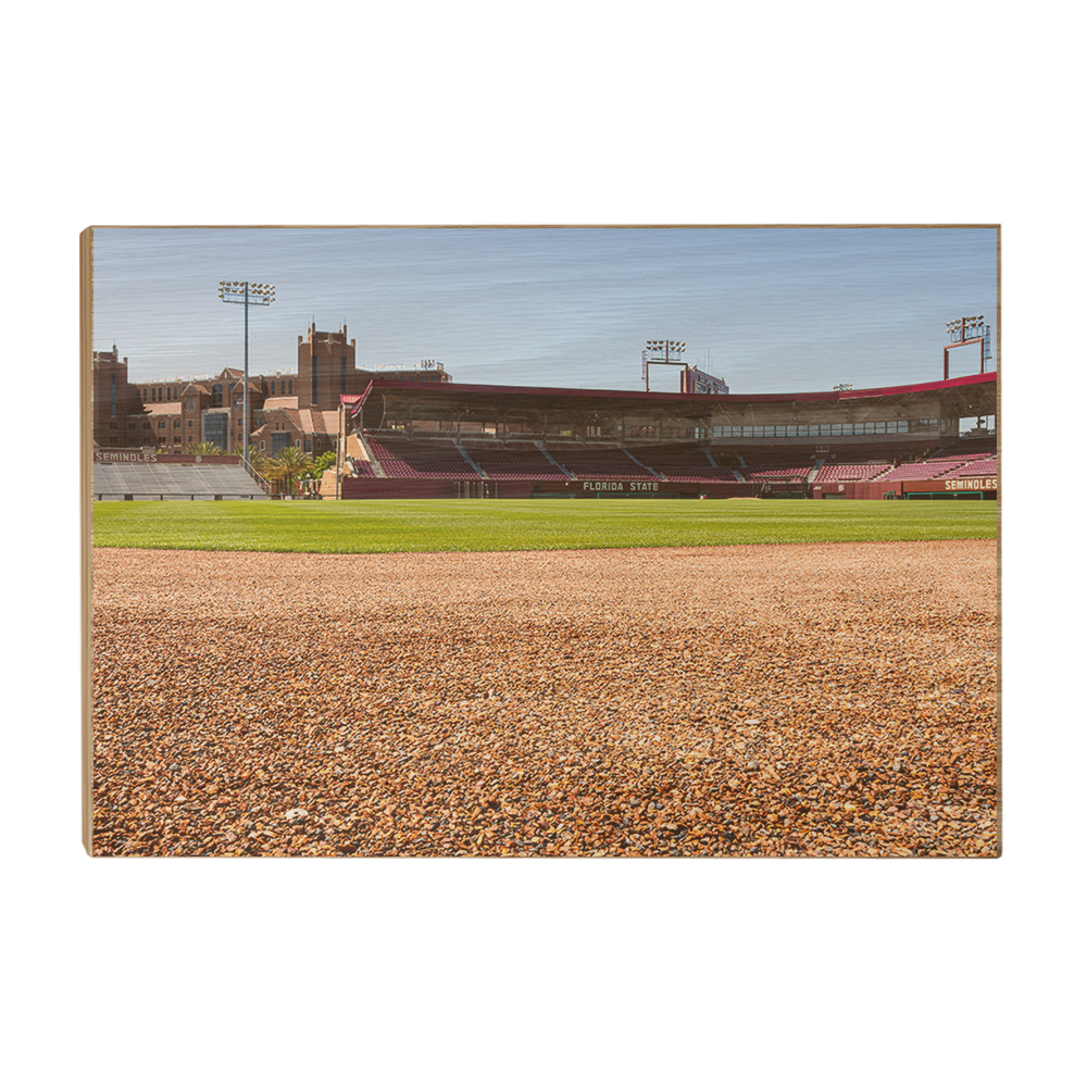 Florida State Seminoles - Spring and Fall - College Wall Art #Canvas